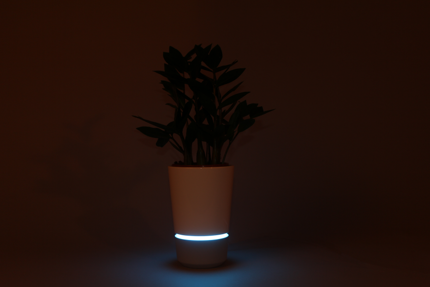 Pontus，Botany，product design，2016 Core77，