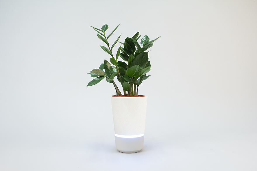 Pontus，植物，产品设计，2016 Core77，