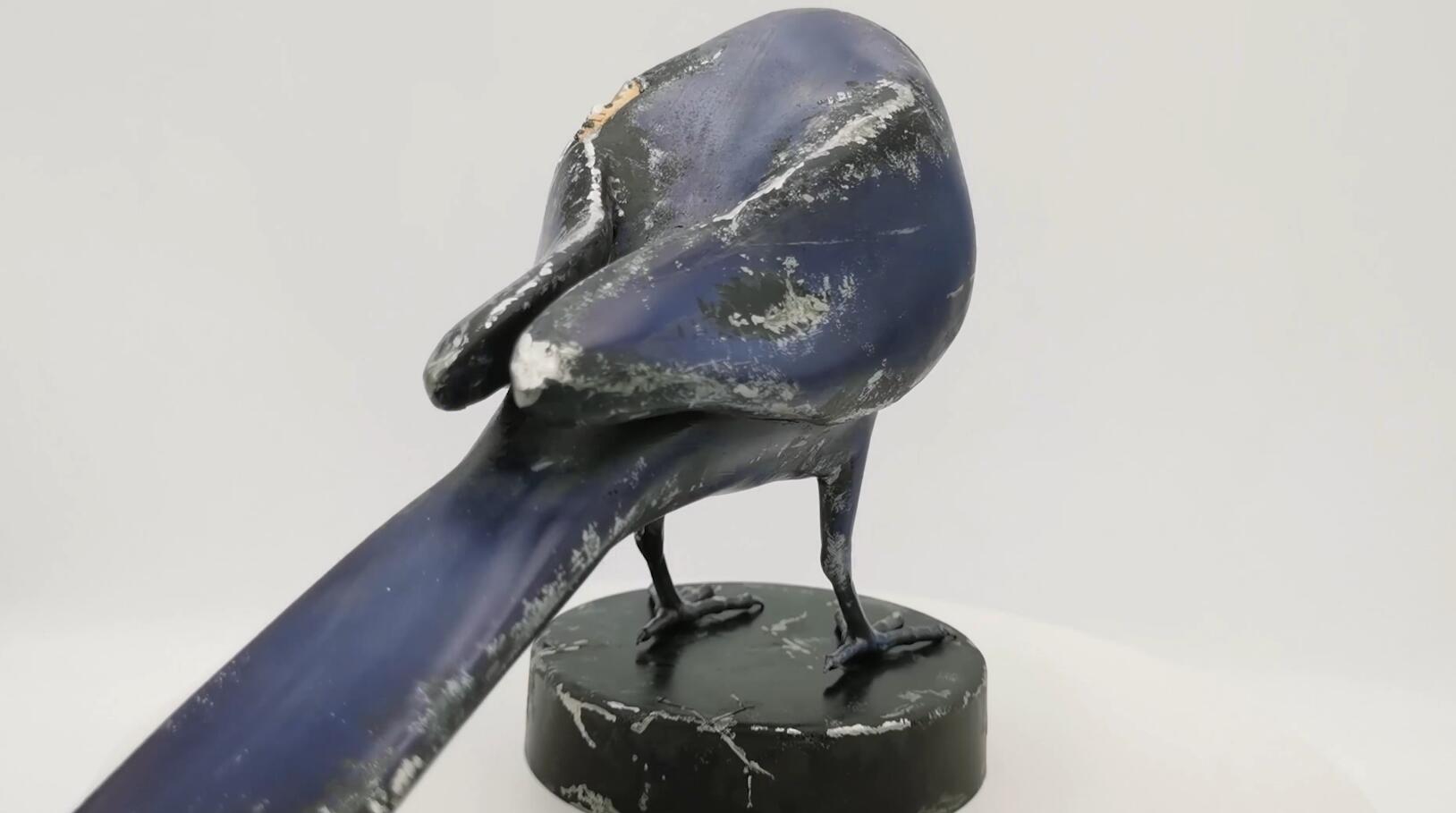 bird，time，life，love，Design，Art，manual，reflection，