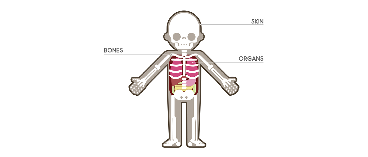 industrial design，structure，anatomy ，Model，tea table，Table，Sitting stool，