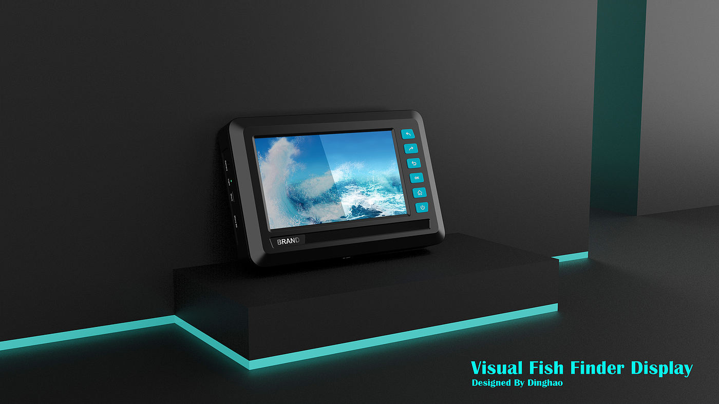 Fish detection display，