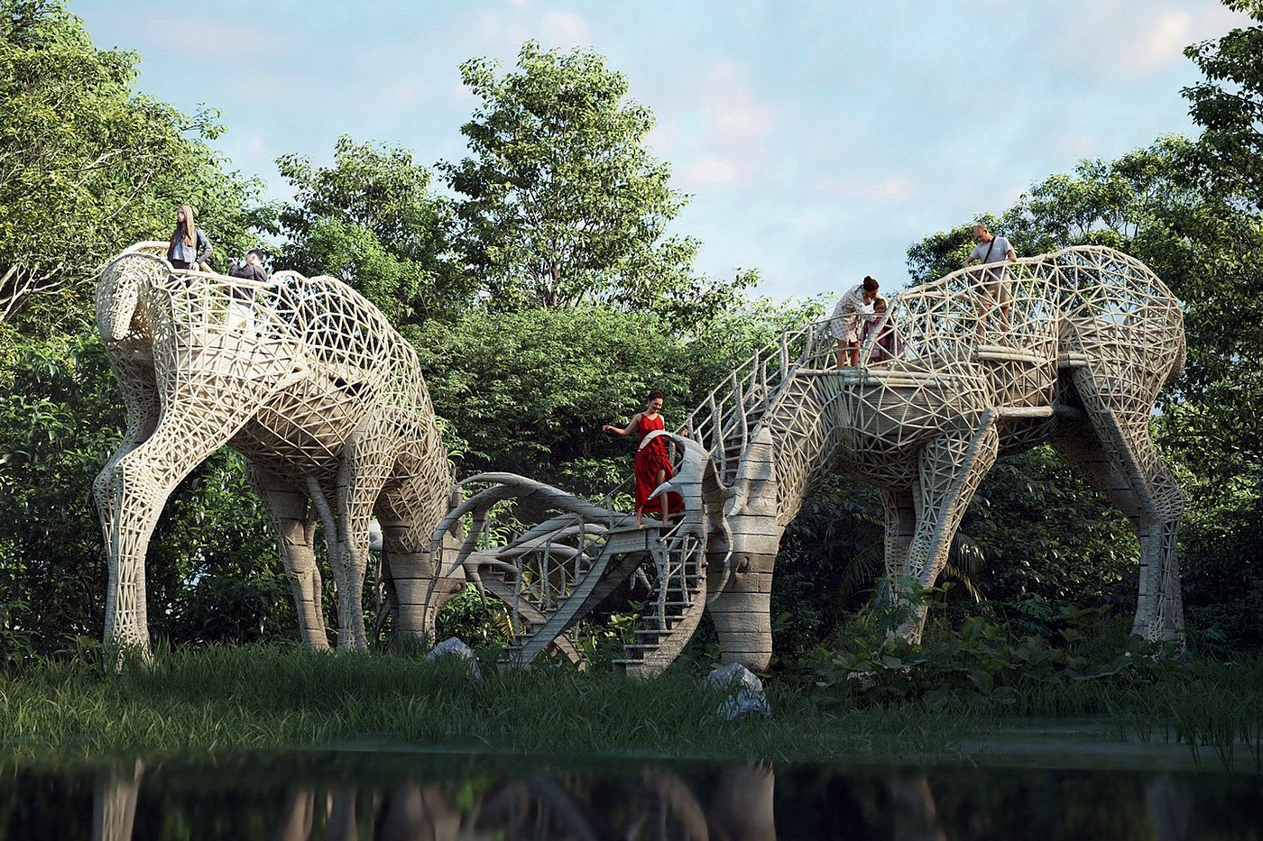 Viewing platform，Liyanage，animal，