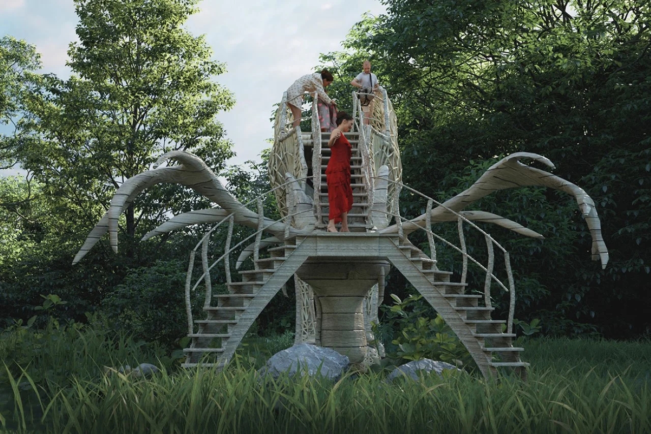 Viewing platform，Liyanage，animal，