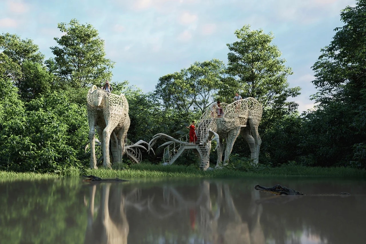 Viewing platform，Liyanage，animal，