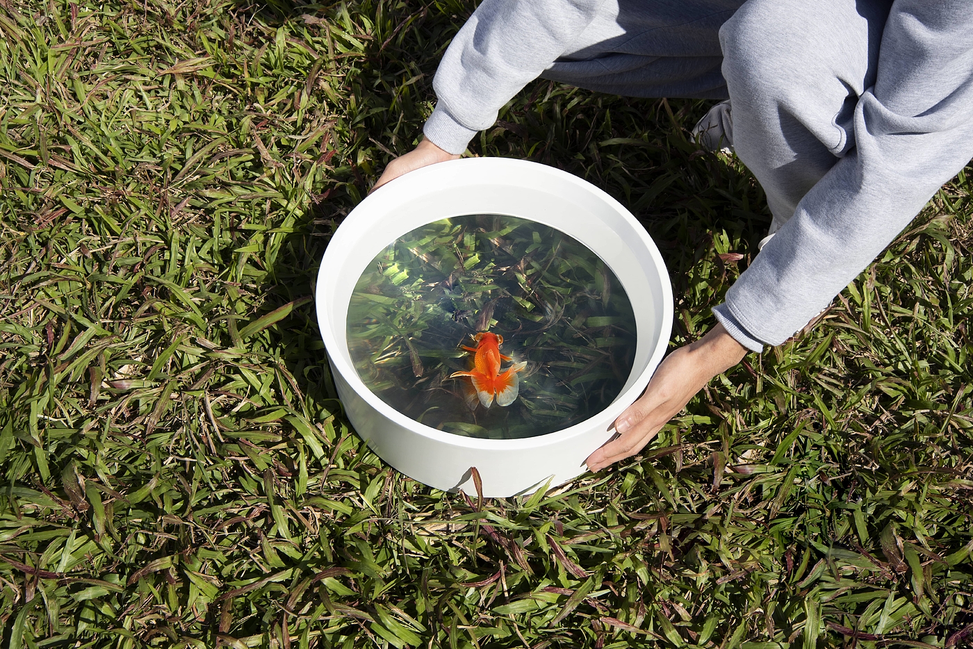 fish tank，magnifier，originality，Jian Zhang，outdoors，scenery，