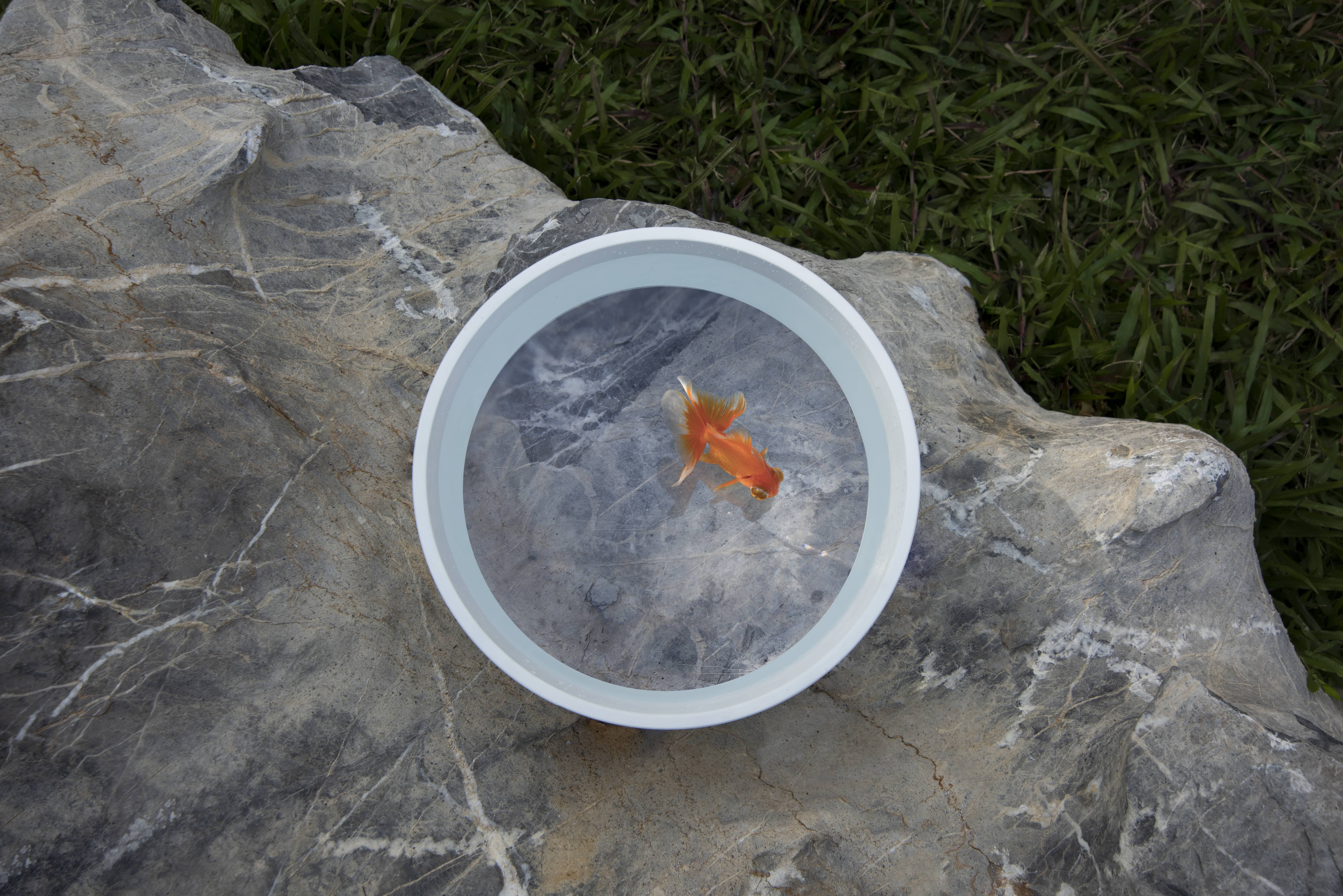 fish tank，magnifier，originality，Jian Zhang，outdoors，scenery，