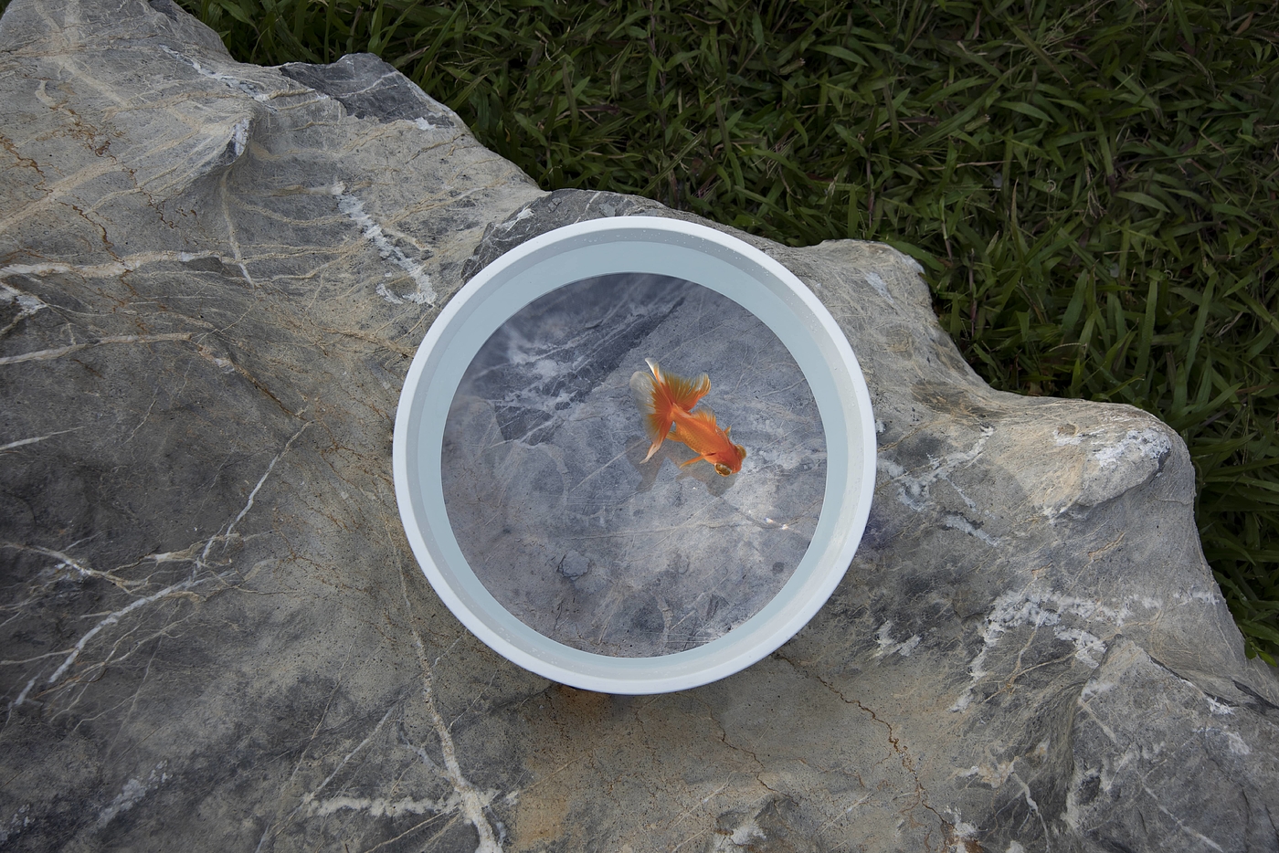 fish tank，magnifier，originality，Jian Zhang，outdoors，scenery，