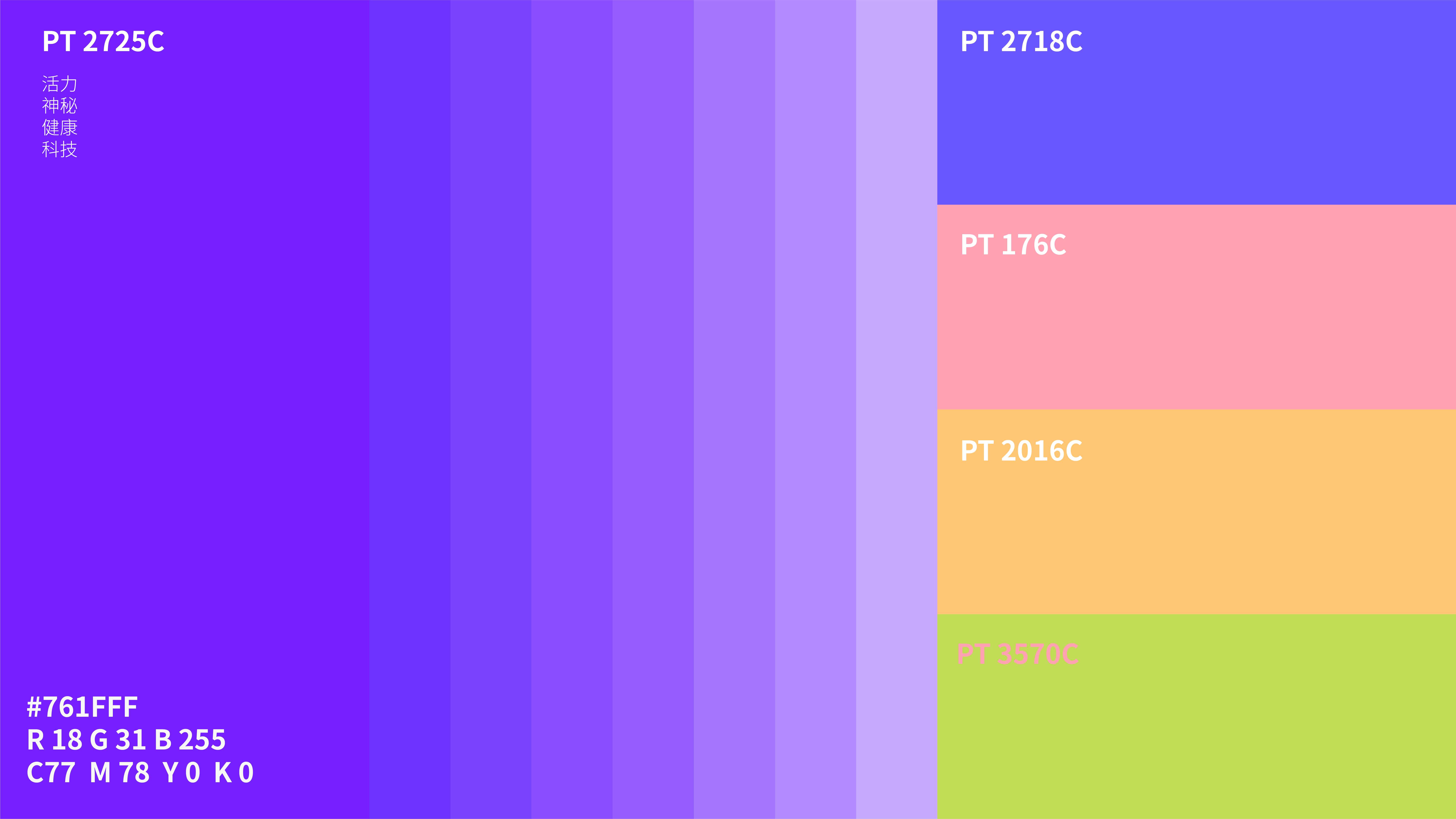 Stew pot，Home appliance design，