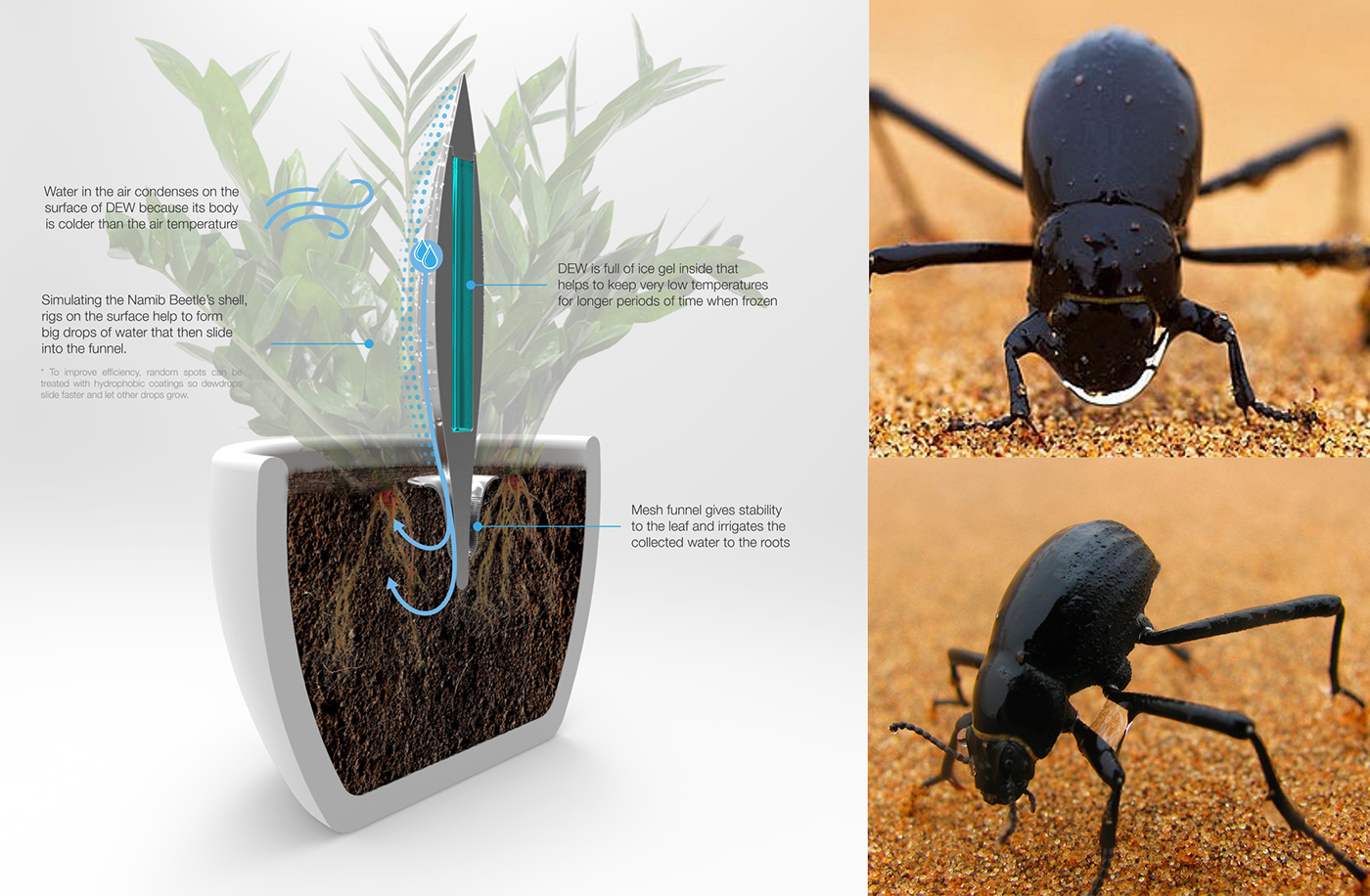 Dew，water conservation，collector，aluminium，