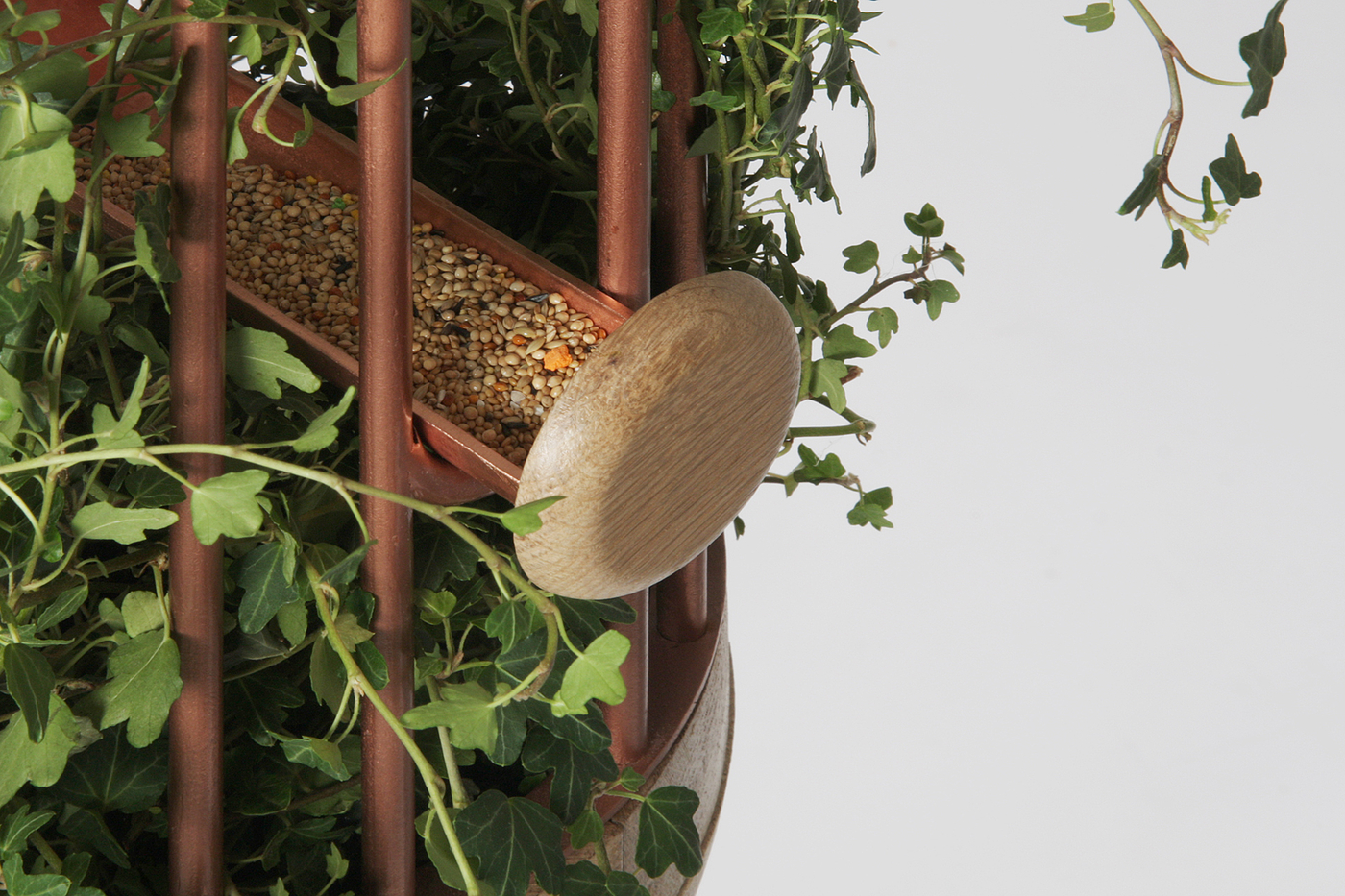 originality，speaker，naturalism，Russia，Bird's nest，seeder，natural beauty，Botany，