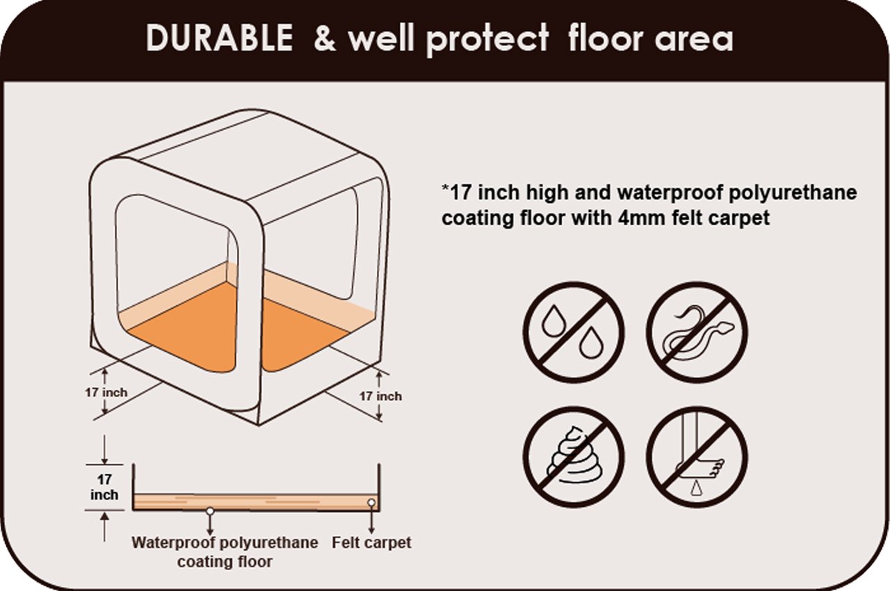 camp，Pop up window，Tent，Camping Essentials，Touring car，