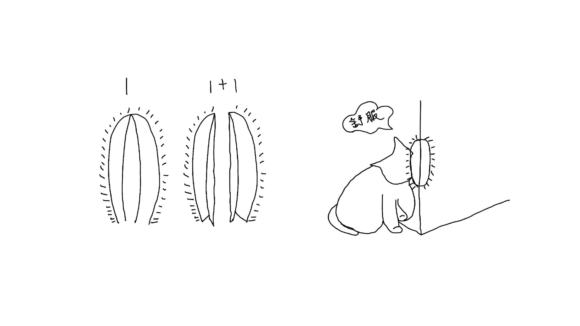 cat，Scratch board，Cultural creation，cactus，