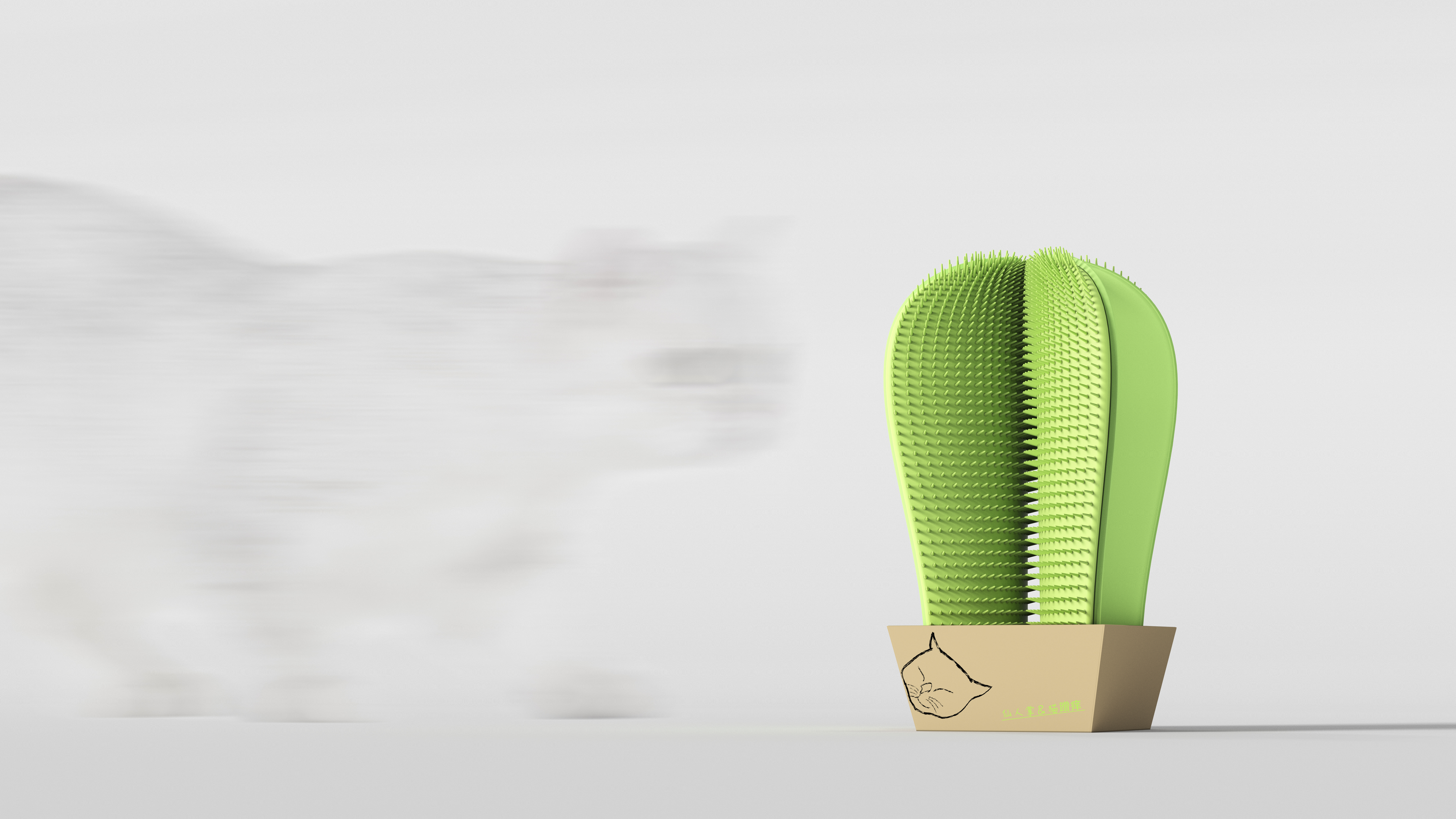 cat，Scratch board，Cultural creation，cactus，