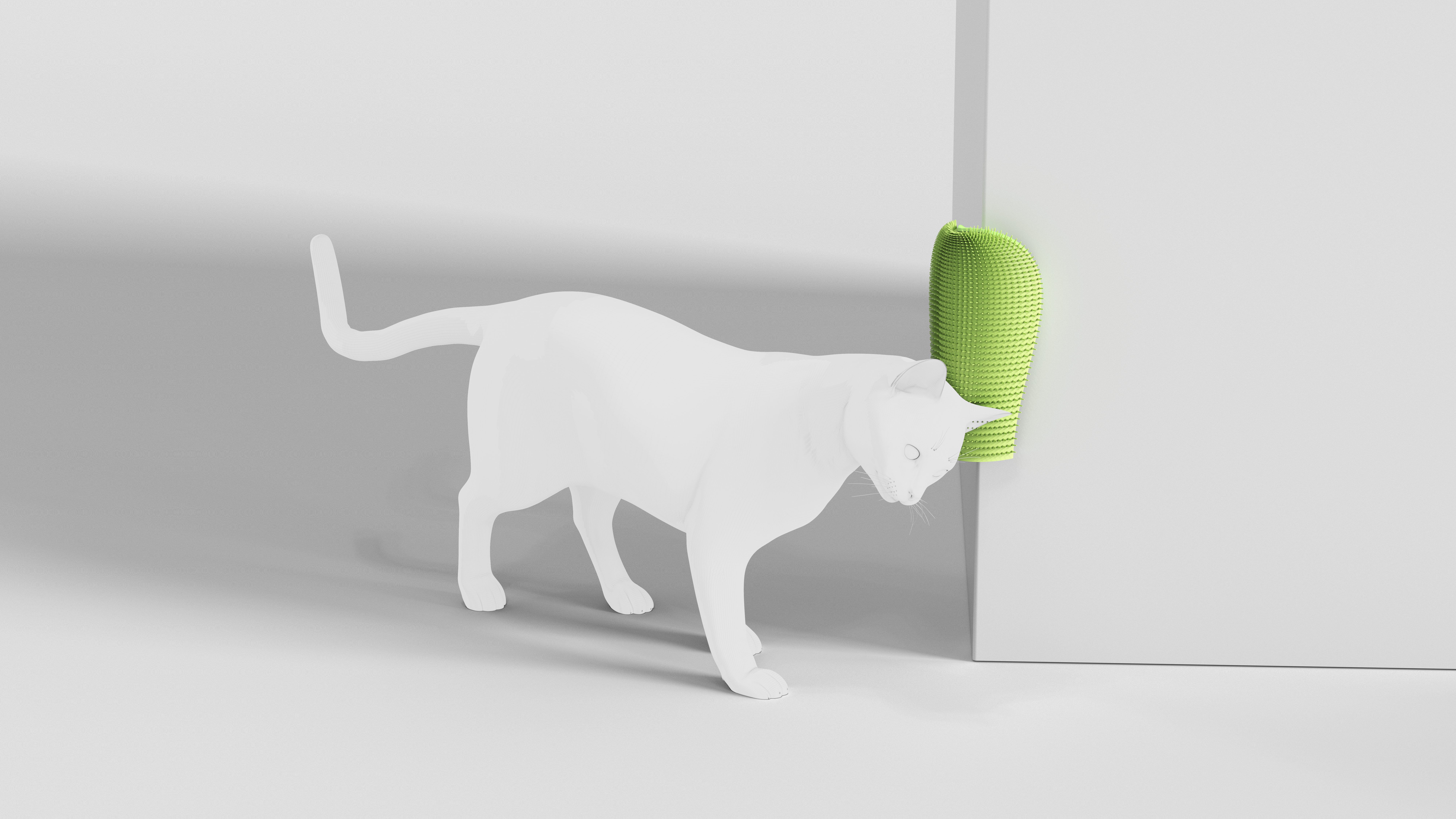 cat，Scratch board，Cultural creation，cactus，