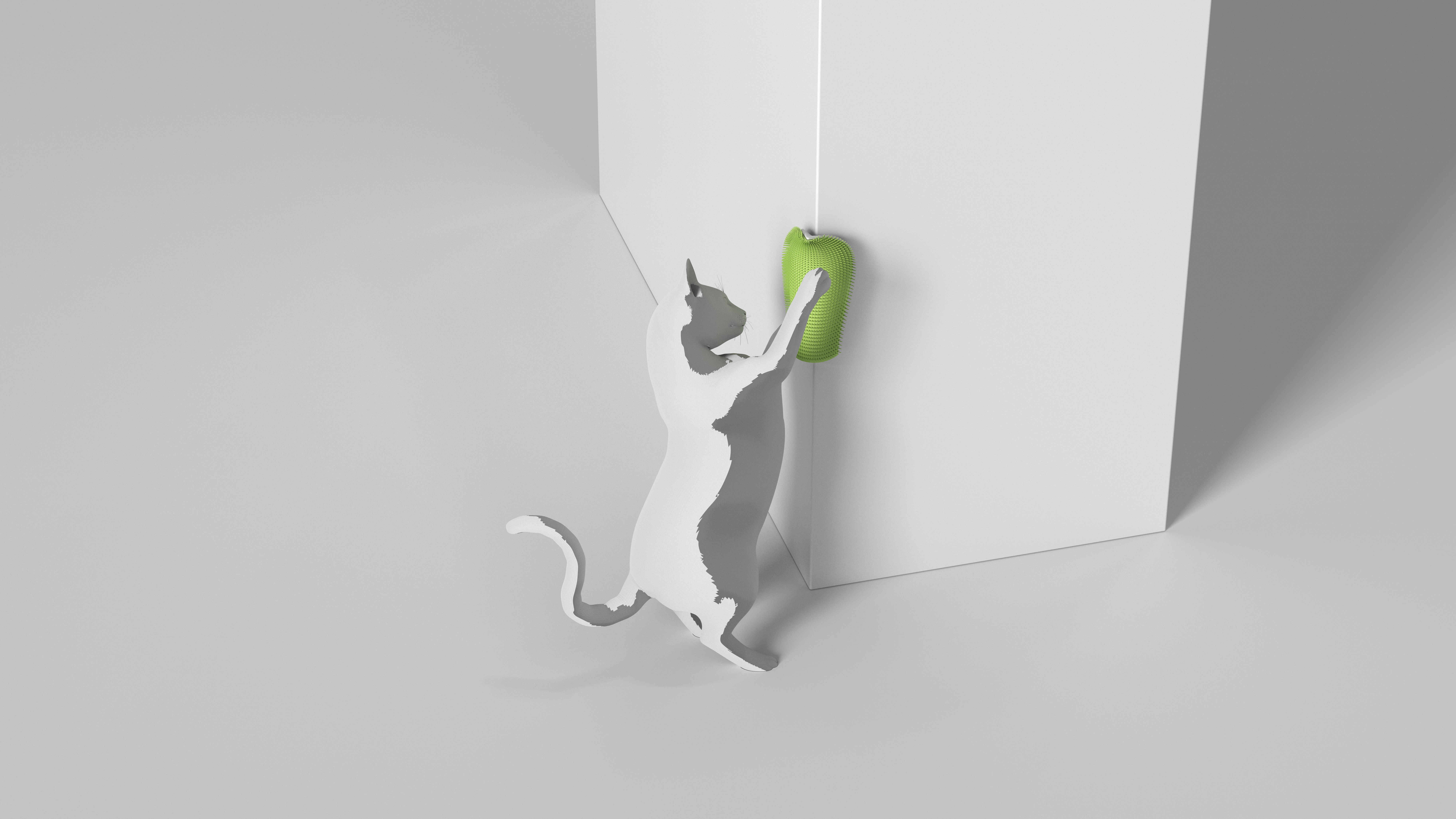 cat，Scratch board，Cultural creation，cactus，