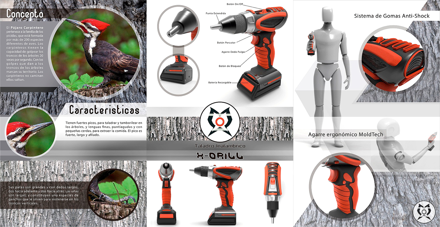 Electric drill，concept，Woodpecker，tool，wood，