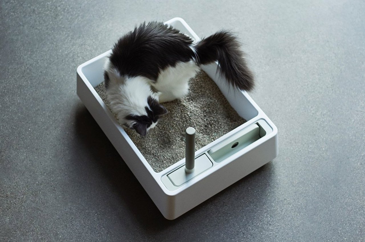 Design storm，Scandinavian languages，Top ten designs，YD design storm，