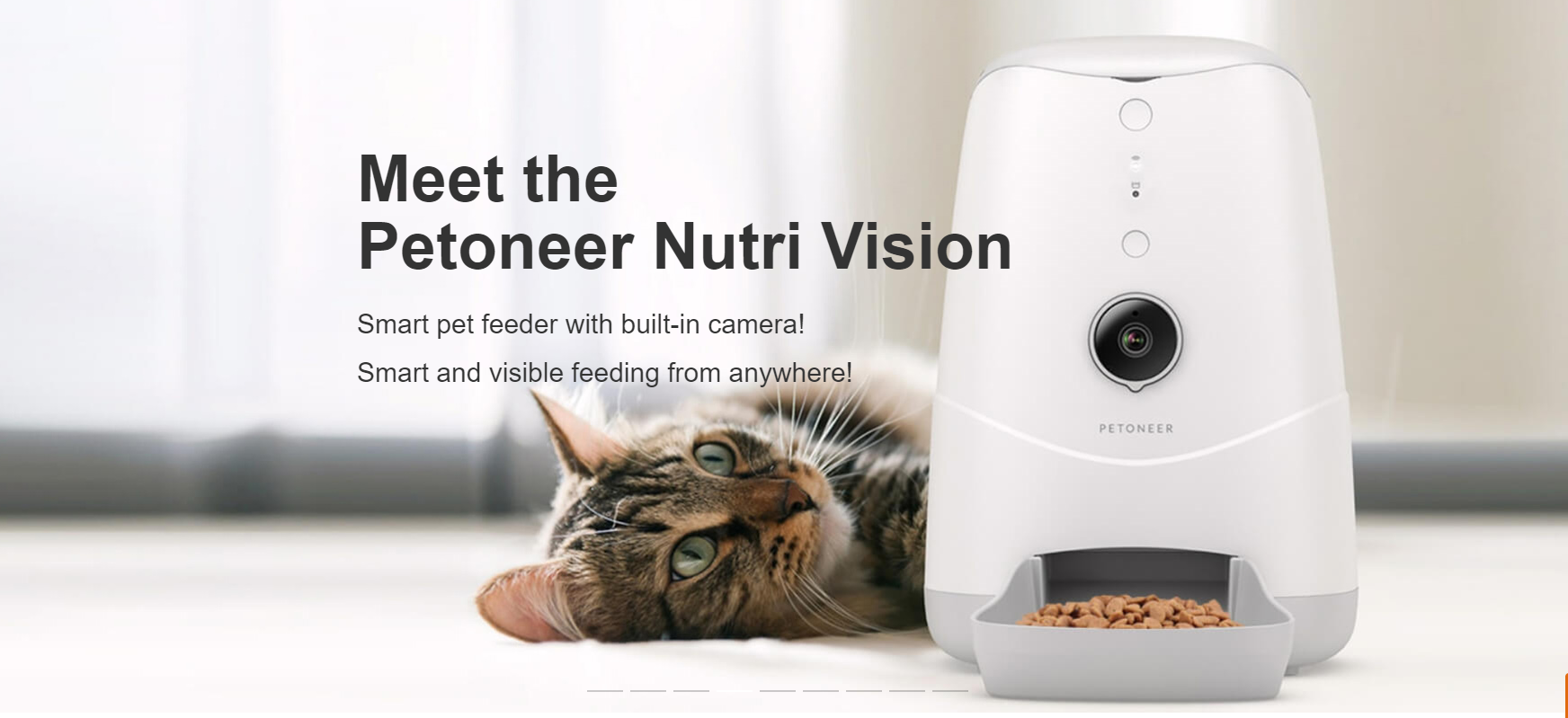 Pet feeder，Pet feeder，intelligence，Cat and dog，Pet Supplies & Pet，