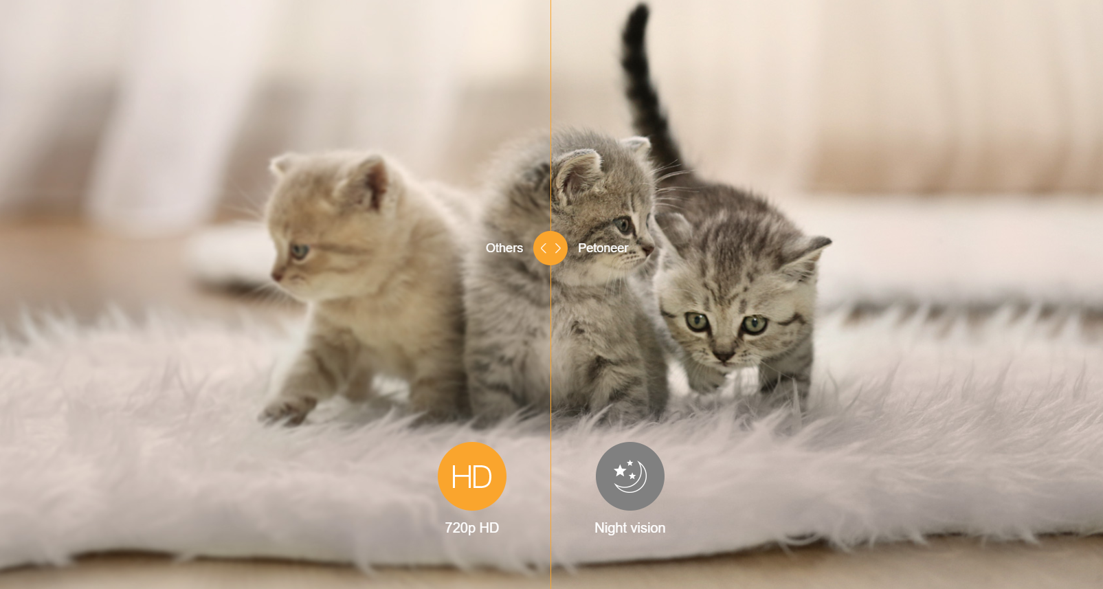 Pet feeder，Pet feeder，intelligence，Cat and dog，Pet Supplies & Pet，