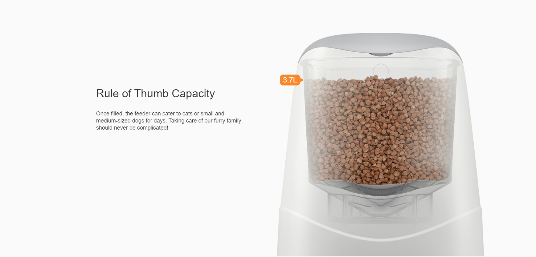 Pet feeder，Pet feeder，intelligence，Cat and dog，Pet Supplies & Pet，