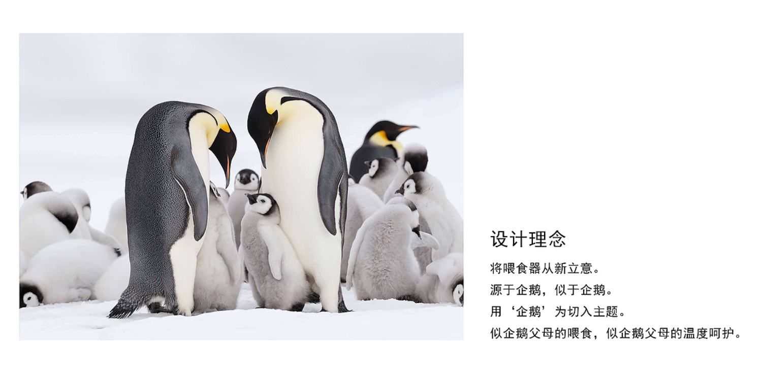 Pet feeder，Pet feeder，intelligence，Cat and dog，Pet Supplies & Pet，