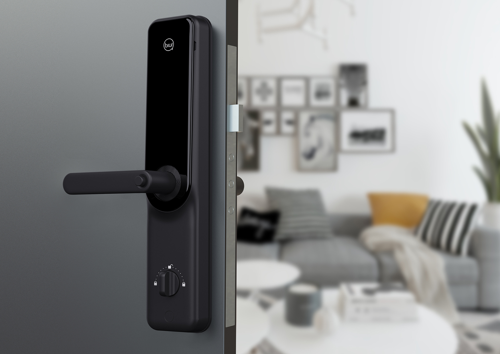 Intelligent door lock, visual door lock，