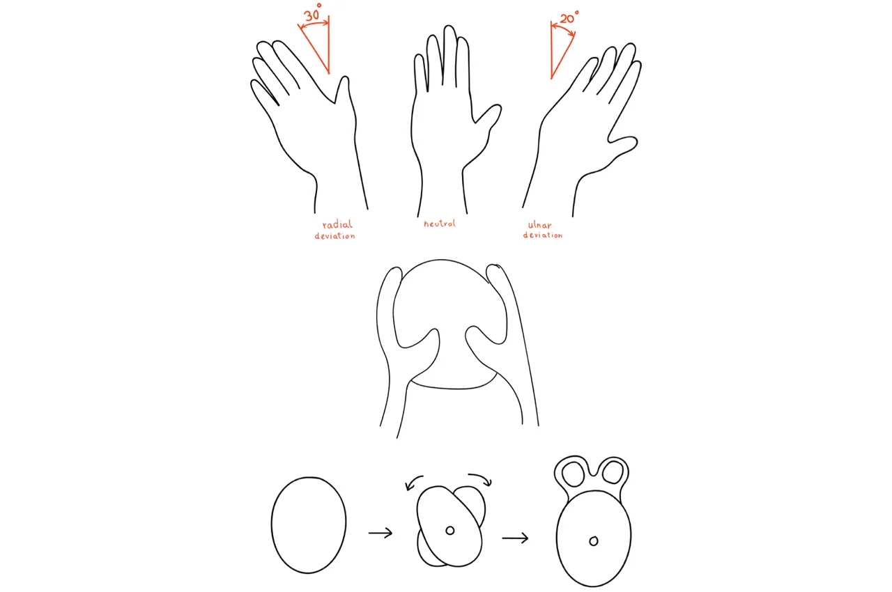 physiotherapy，hand，wrist，recovery，