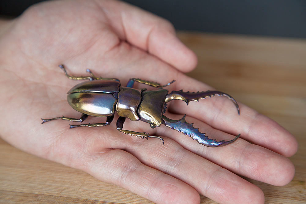 insect，mineral，3D printing，specimen，