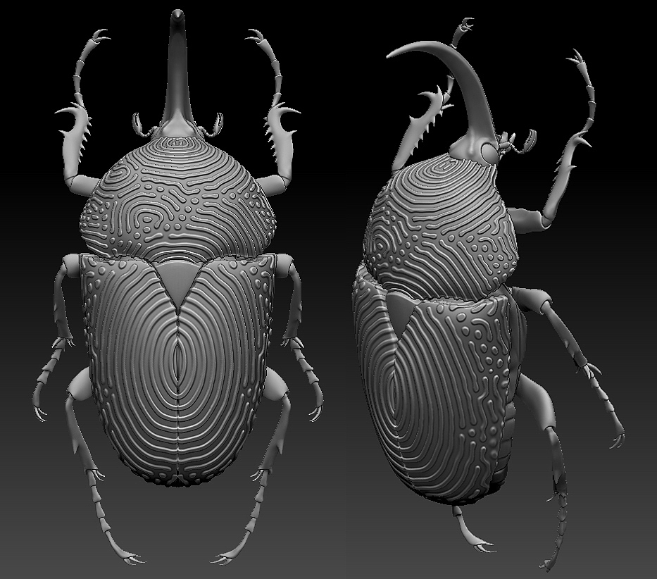 insect，mineral，3D printing，specimen，
