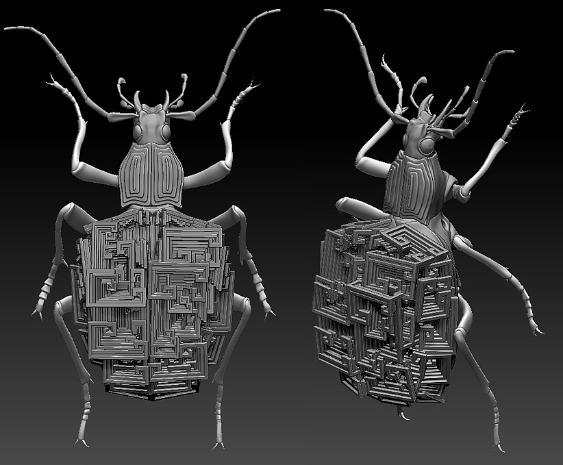 insect，mineral，3D printing，specimen，