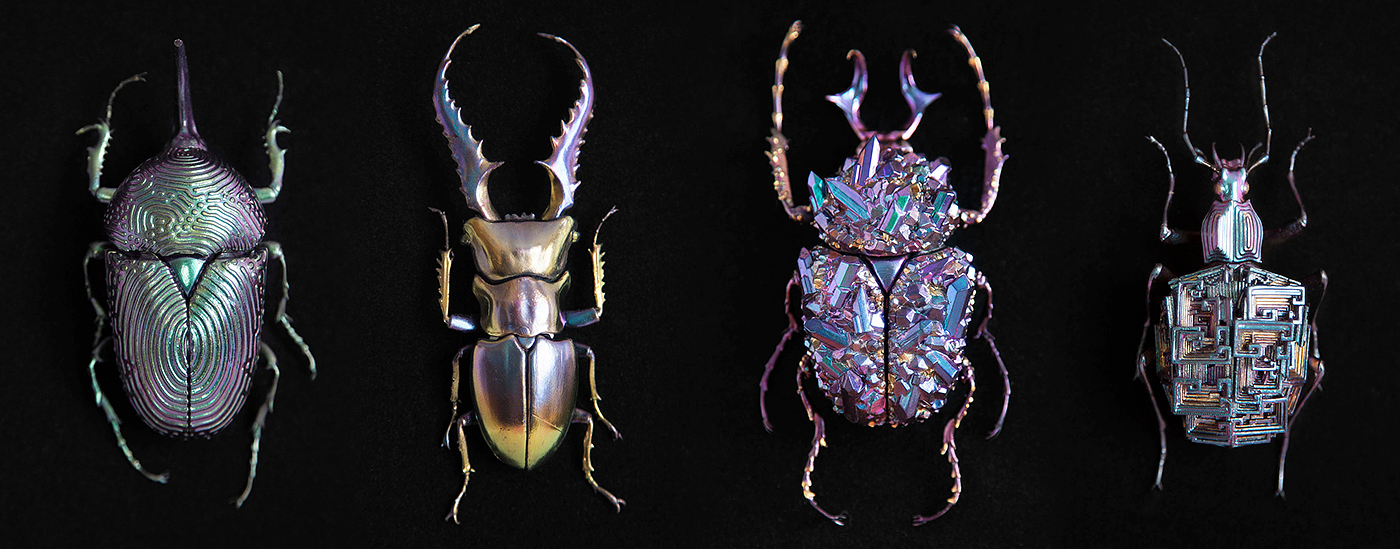 昆虫，矿石，3d打印，标本，