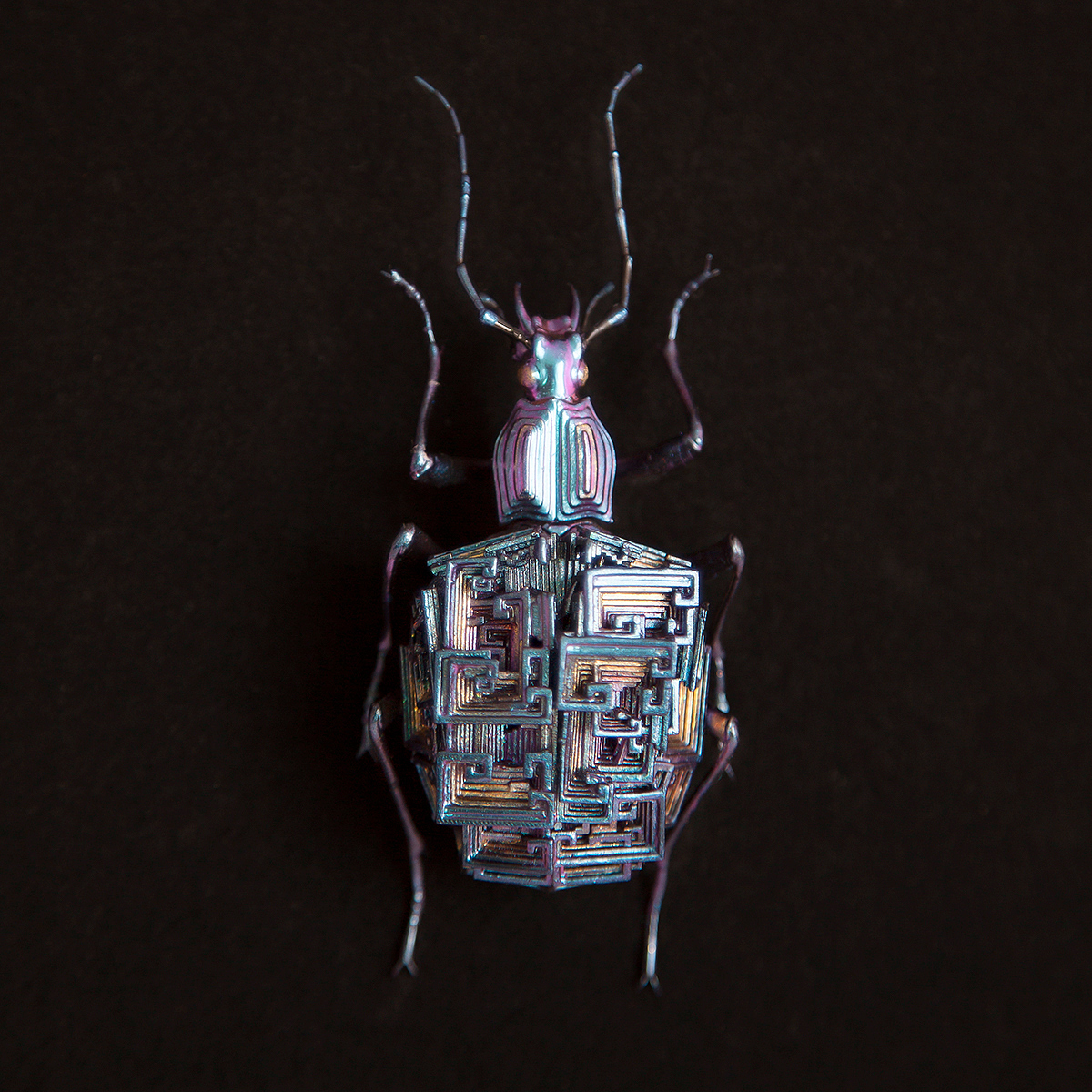 insect，mineral，3D printing，specimen，