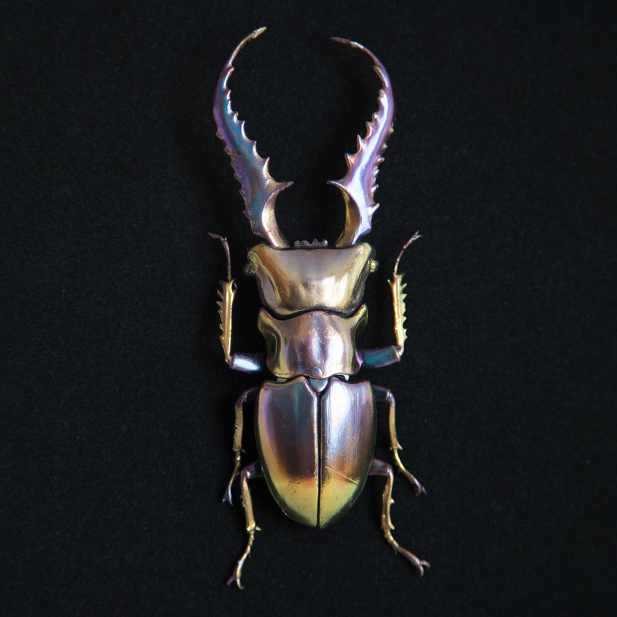 insect，mineral，3D printing，specimen，