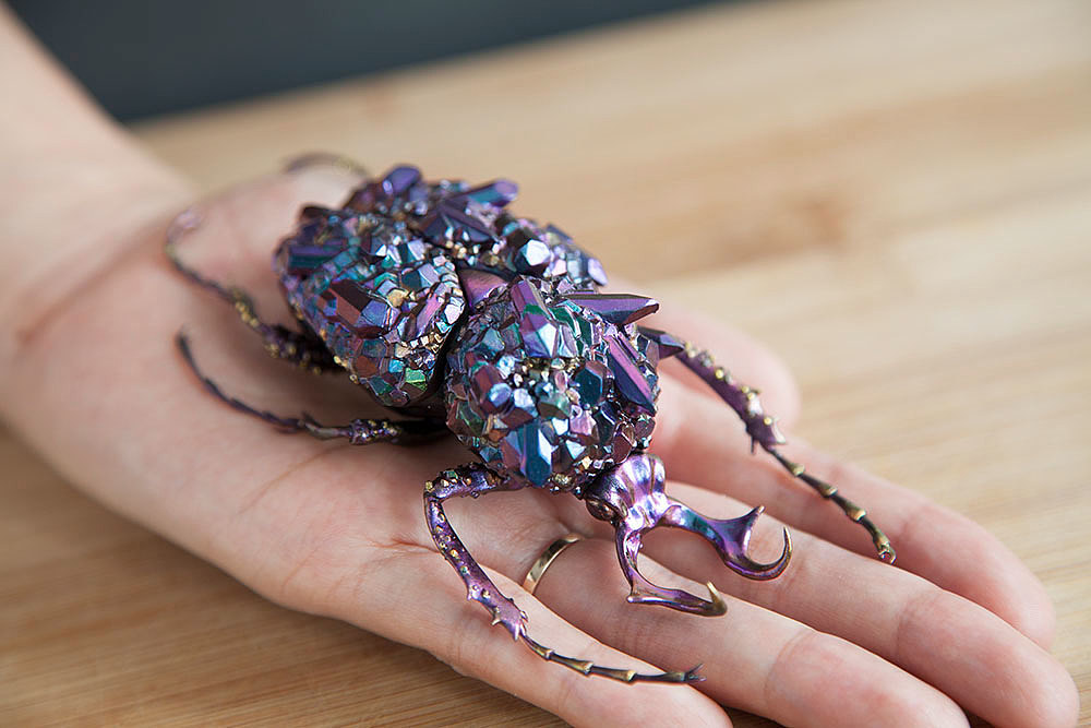 insect，mineral，3D printing，specimen，