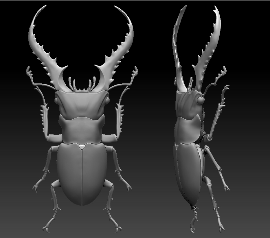insect，mineral，3D printing，specimen，