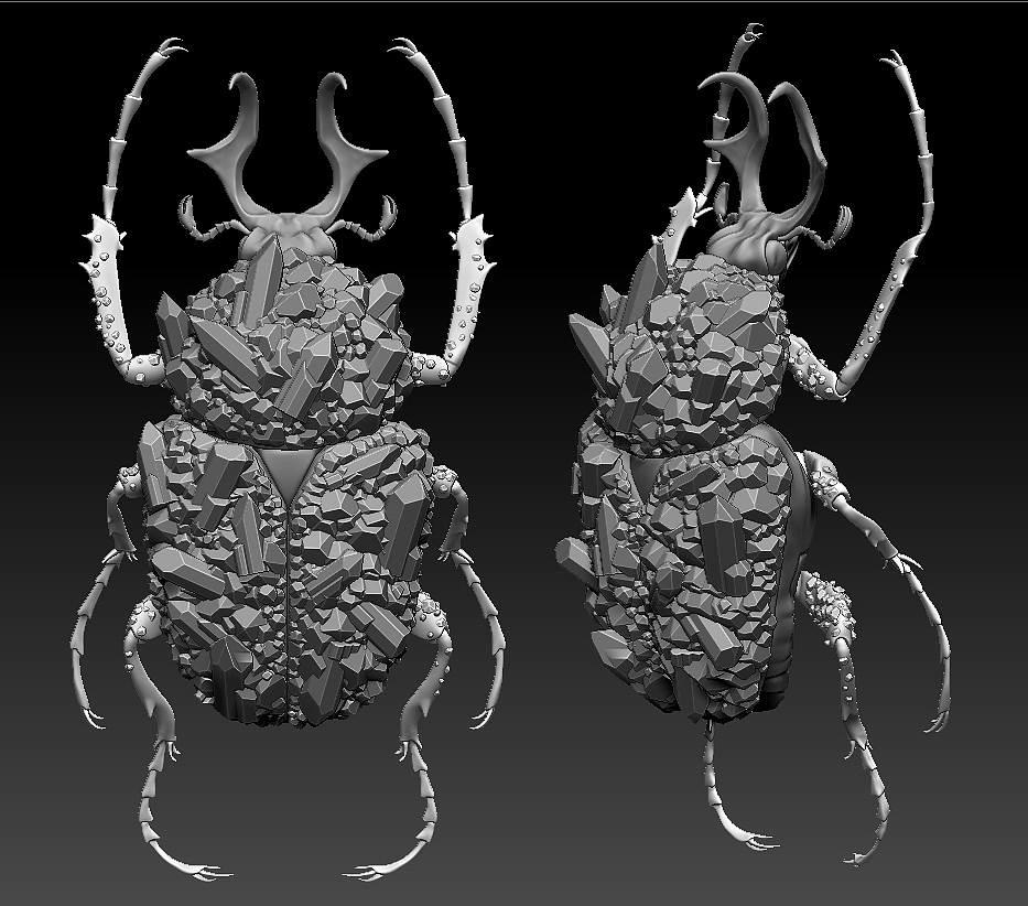 insect，mineral，3D printing，specimen，