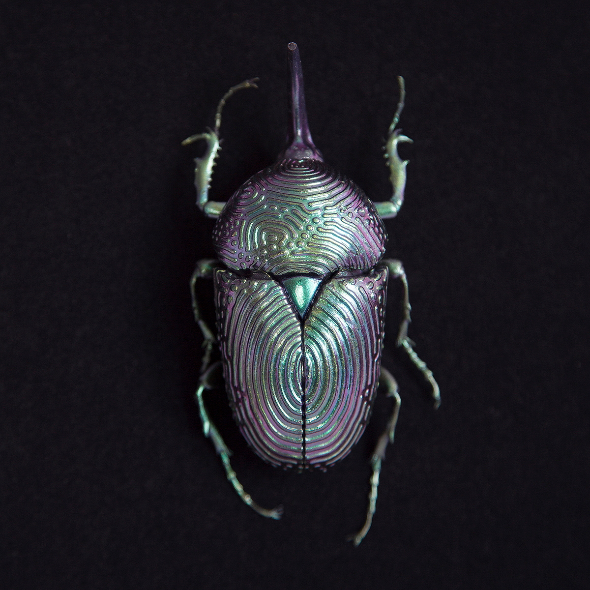 insect，mineral，3D printing，specimen，