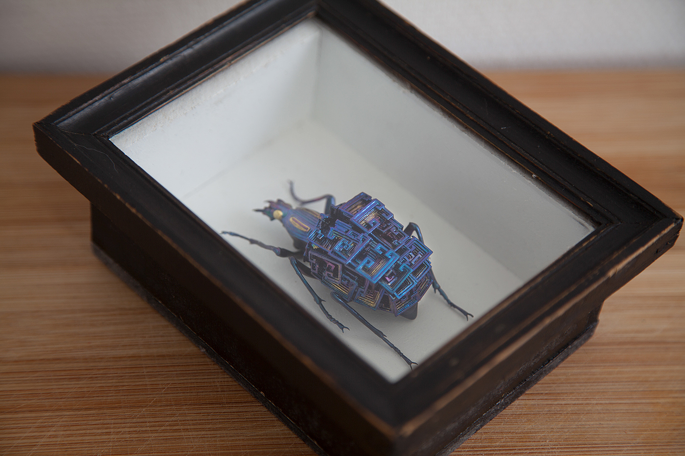 insect，mineral，3D printing，specimen，