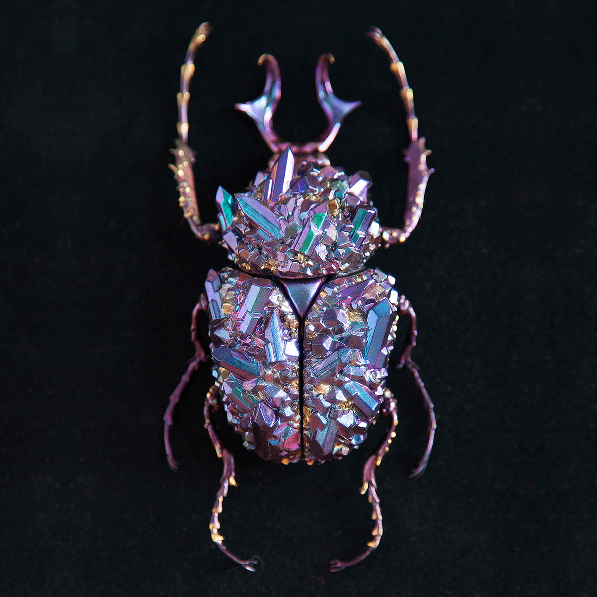 insect，mineral，3D printing，specimen，