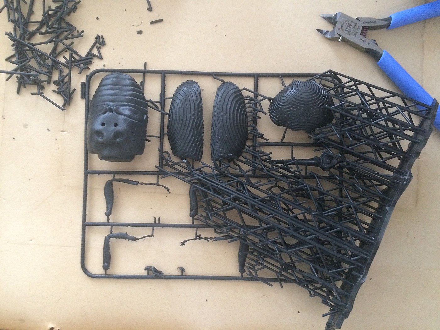 insect，mineral，3D printing，specimen，
