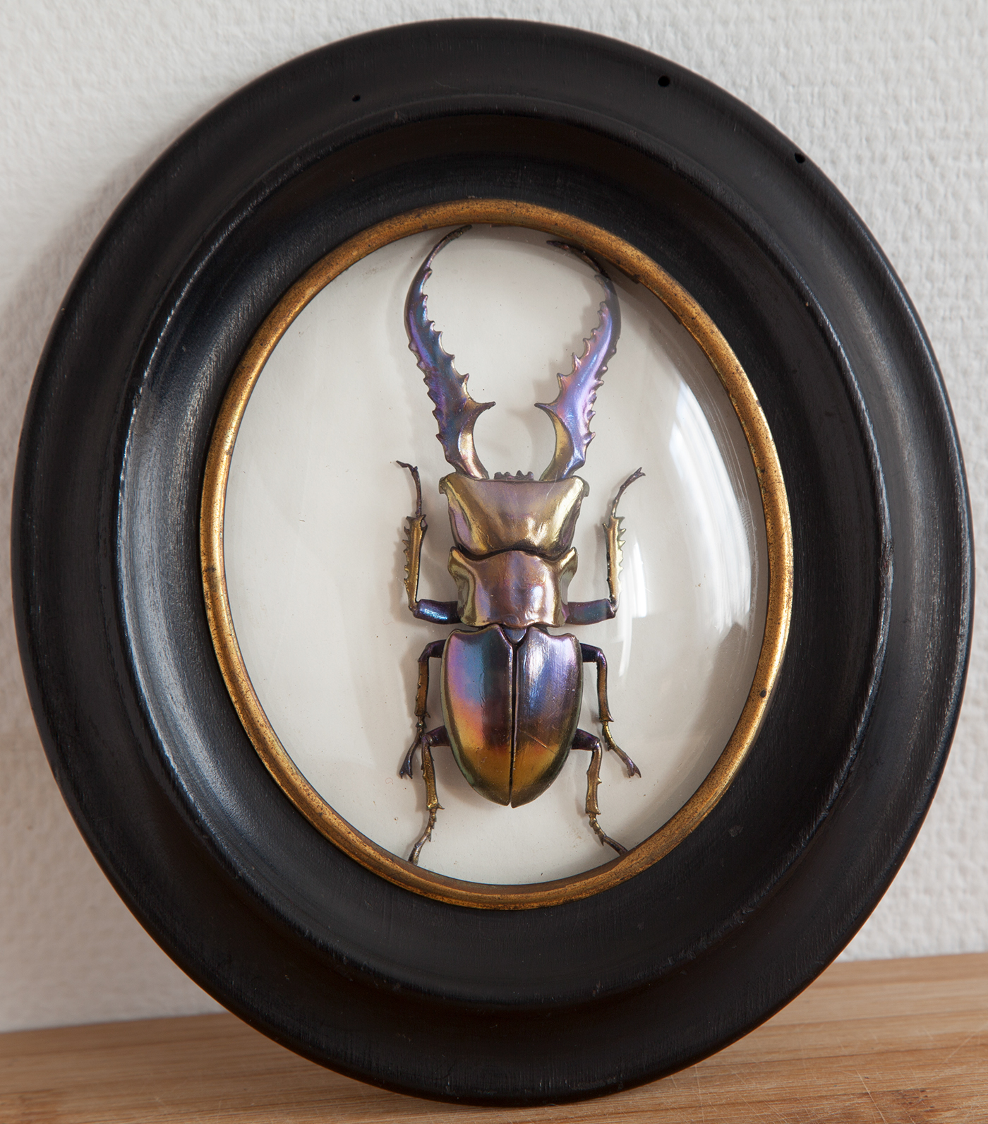 insect，mineral，3D printing，specimen，