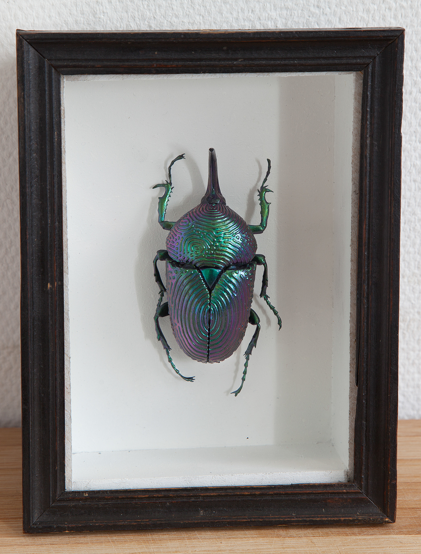 insect，mineral，3D printing，specimen，