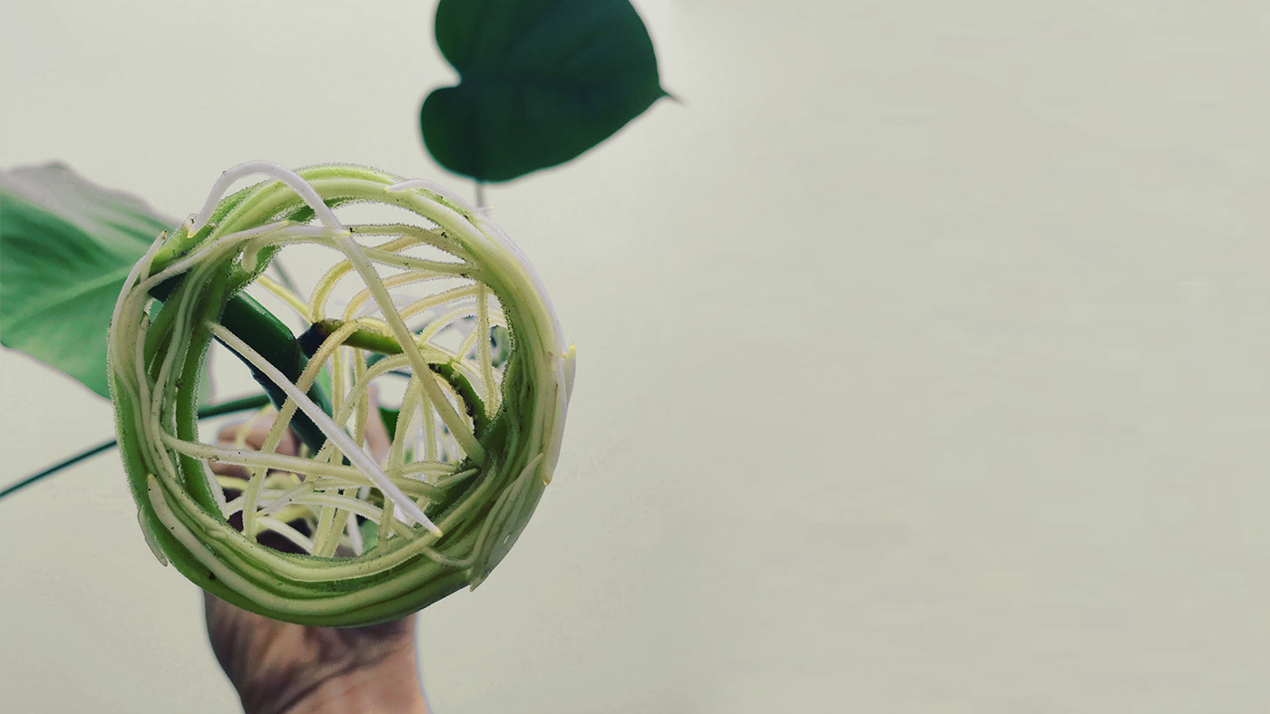 shoes，Japan，Minimalism，