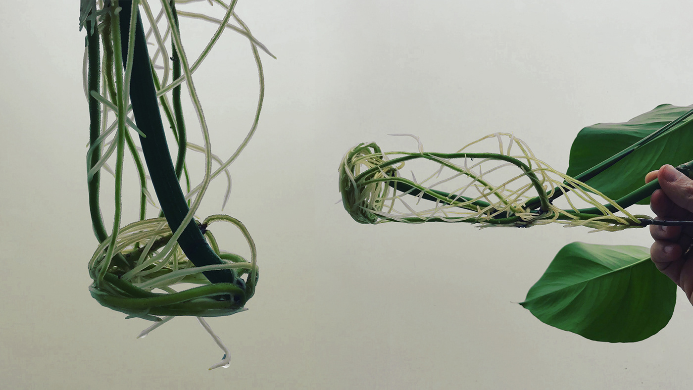 shoes，Japan，Minimalism，