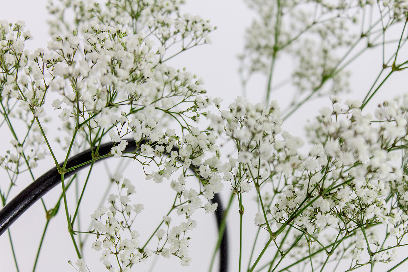 Ornaments，container，vase，Elegant，