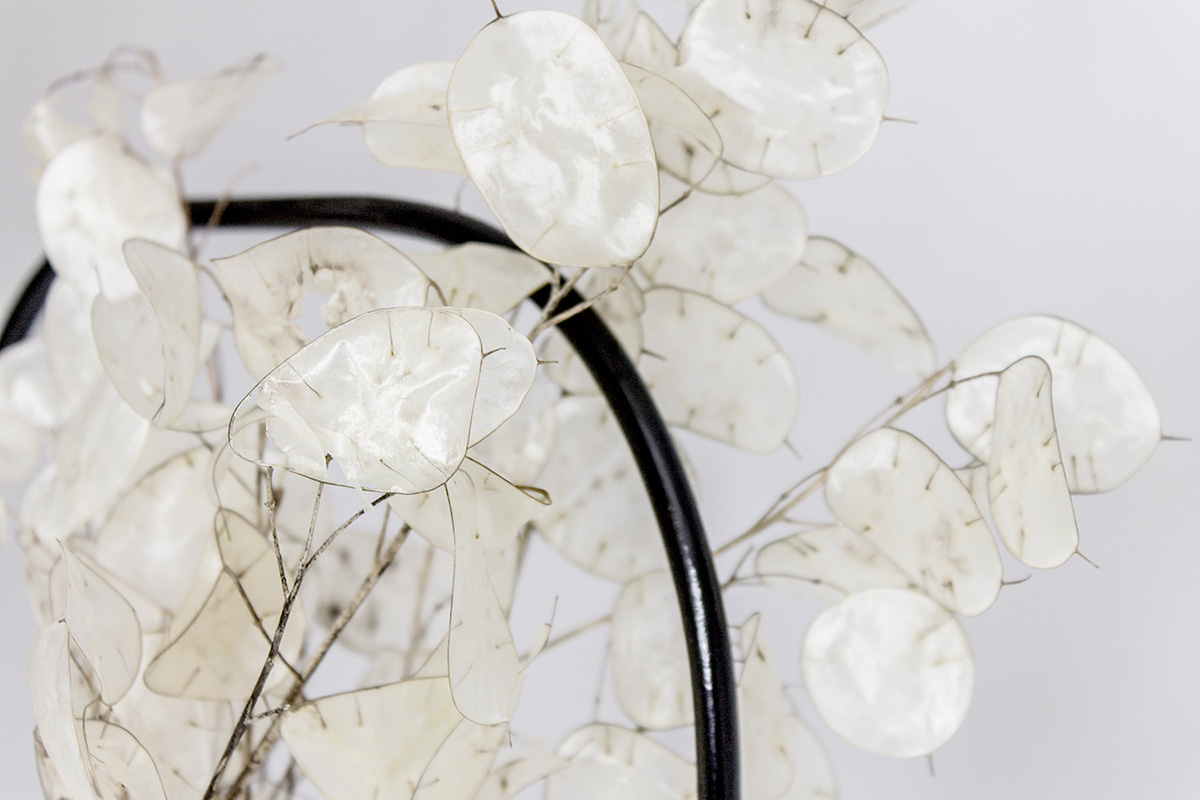 Ornaments，container，vase，Elegant，