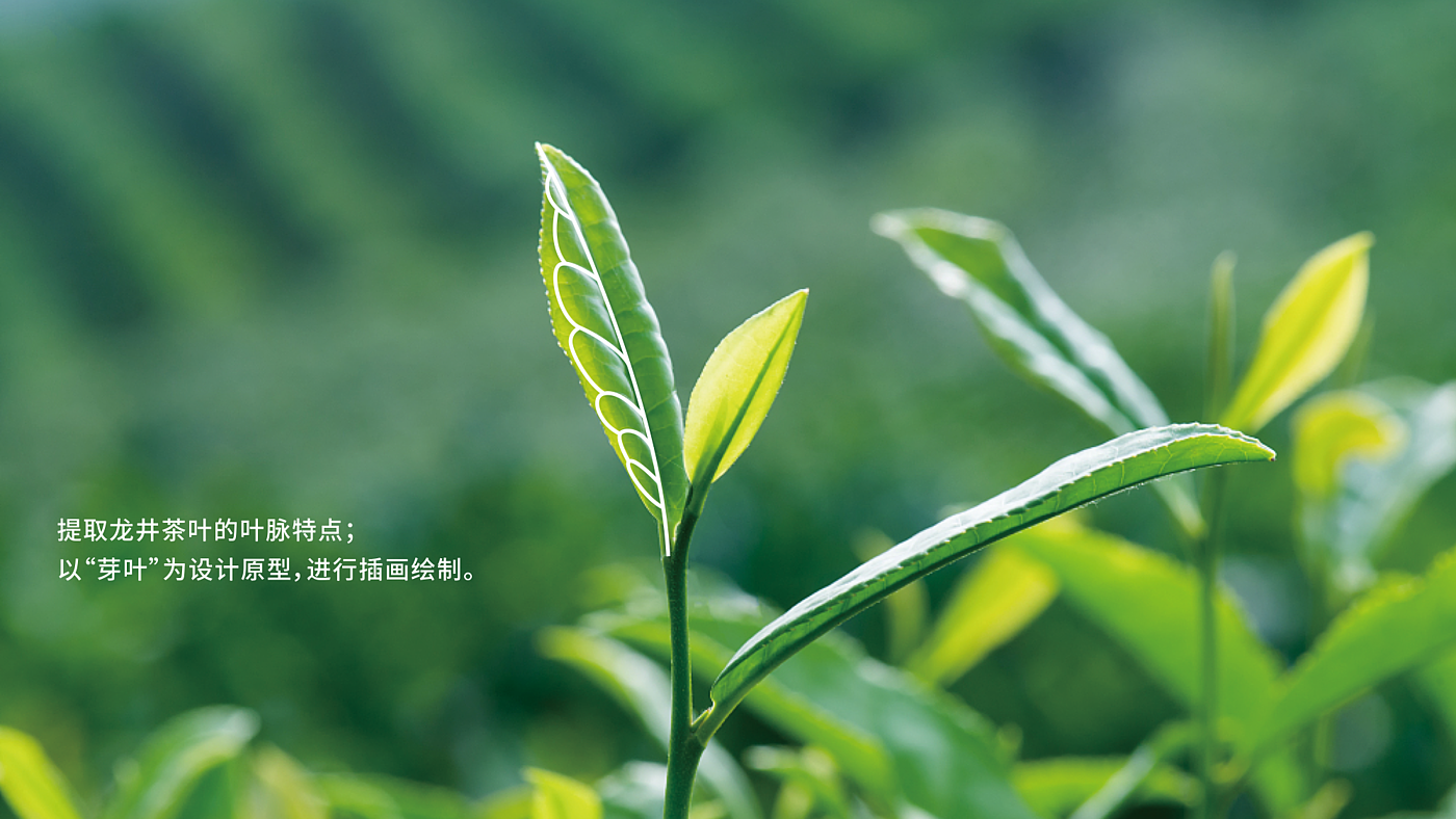 Red design，packing design，Brand upgrade，Lakeside residence，tea culture，Brand strategy，VI design，Packaging strategy，