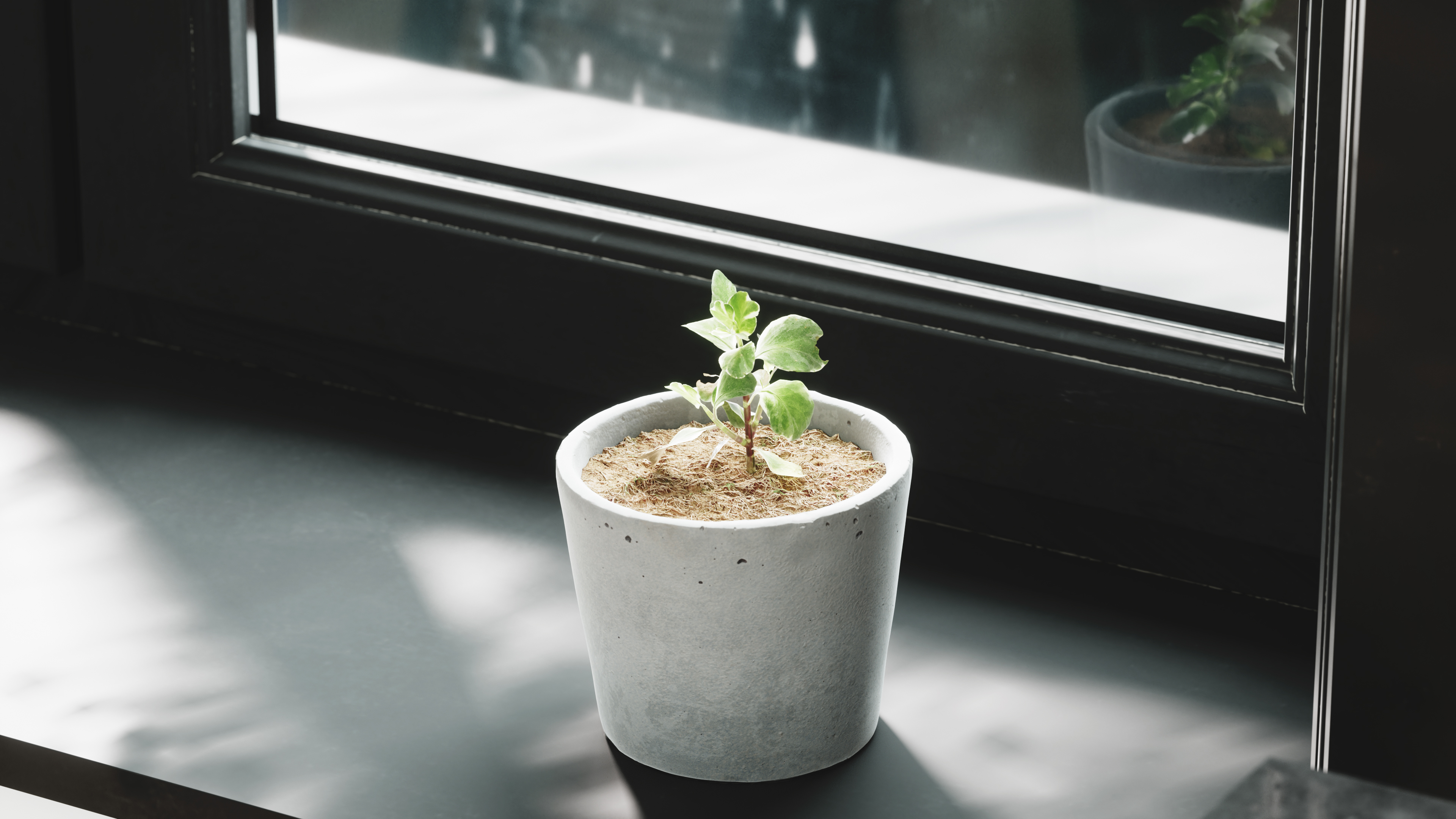 c4d，octane，ps，Indoor rendering，space，product，Realistic，