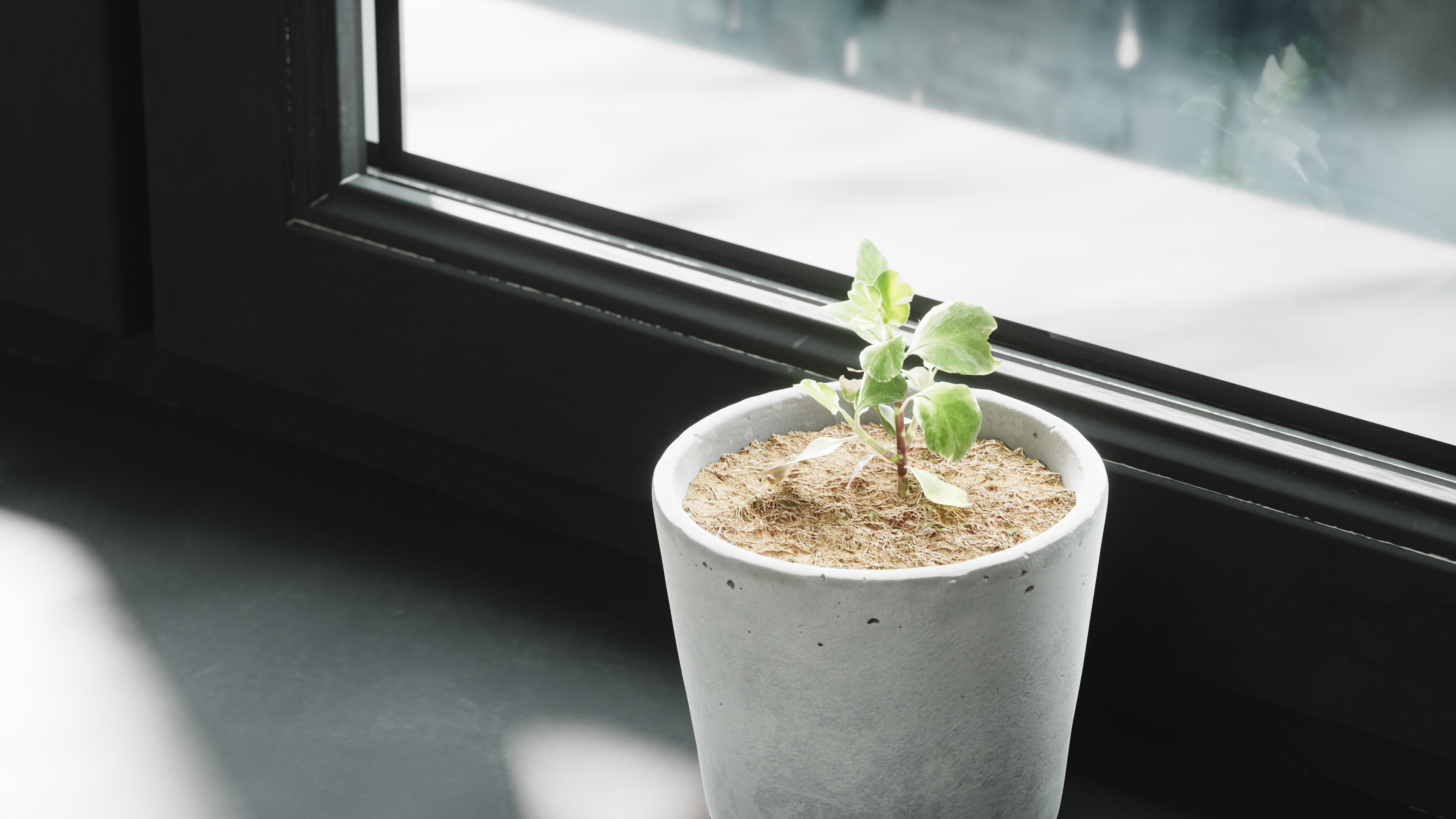 c4d，octane，ps，Indoor rendering，space，product，Realistic，