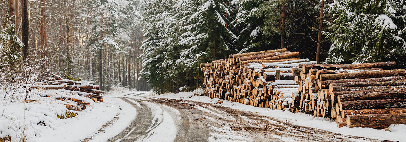 tool，wood，electric saw，device，Electric tool，